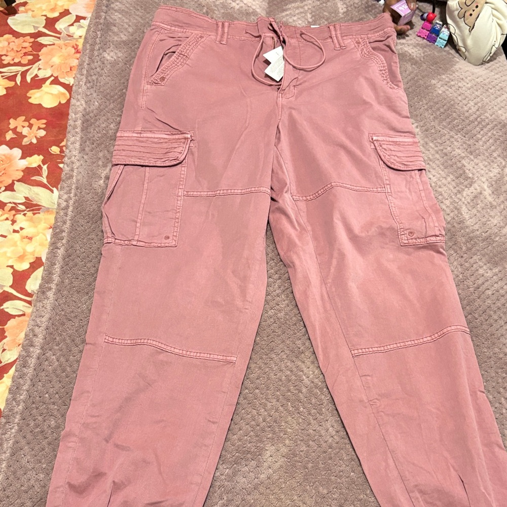 American Eagle Outfitters Pink Cargo Pants